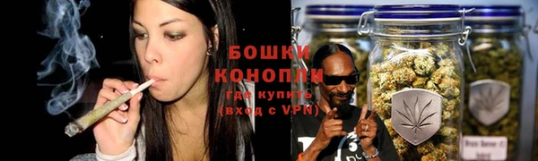 сатива Михайловка