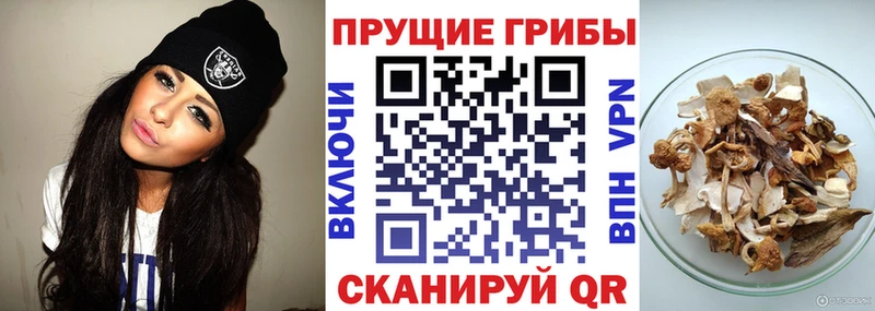 цены   Усмань  Псилоцибиновые грибы MAGIC MUSHROOMS 