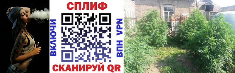 Бошки Шишки VHQ  MEGA рабочий сайт  Усмань 